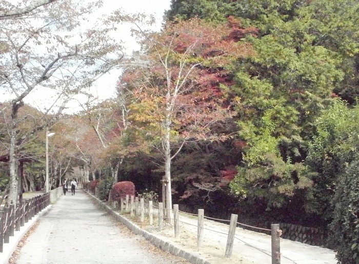 s-02_哲学の道2